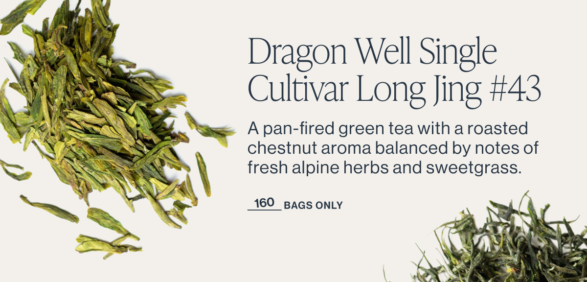 Dragon Well Single Cultivar Long Jing #43
