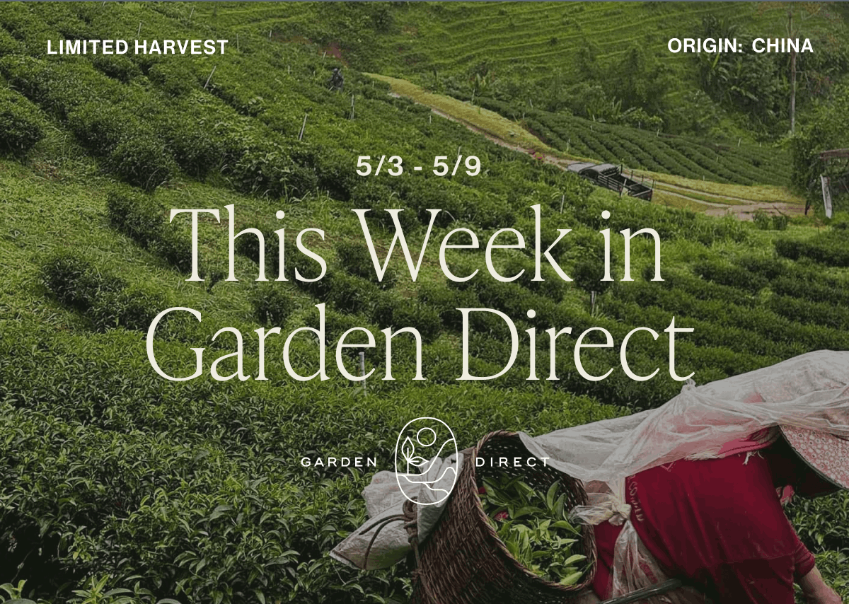 This Week in Garden Direct