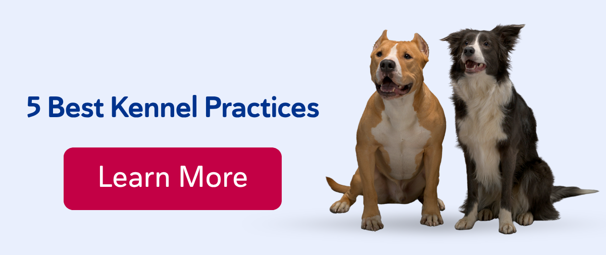 5 Best Kennel Practices