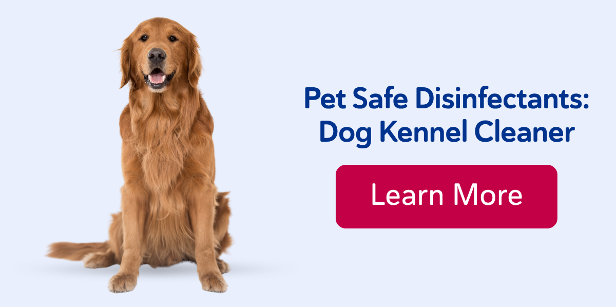 Pet Safe Disinfectants: Dog Kennel Cleaner