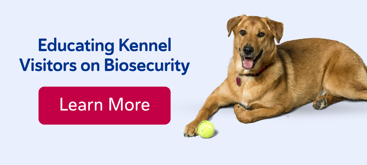 Educating Kennel Visitors on Biosecurity