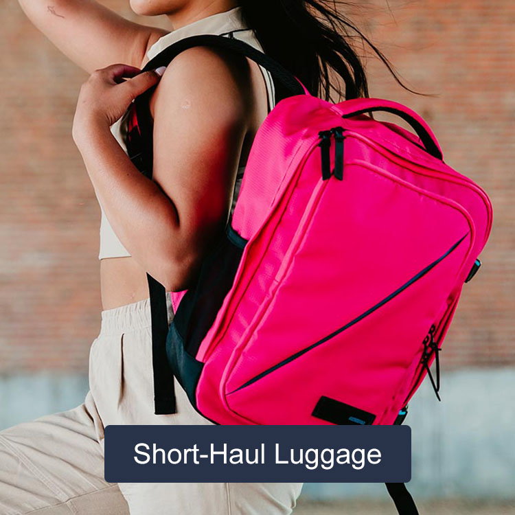 Holiday Luggage