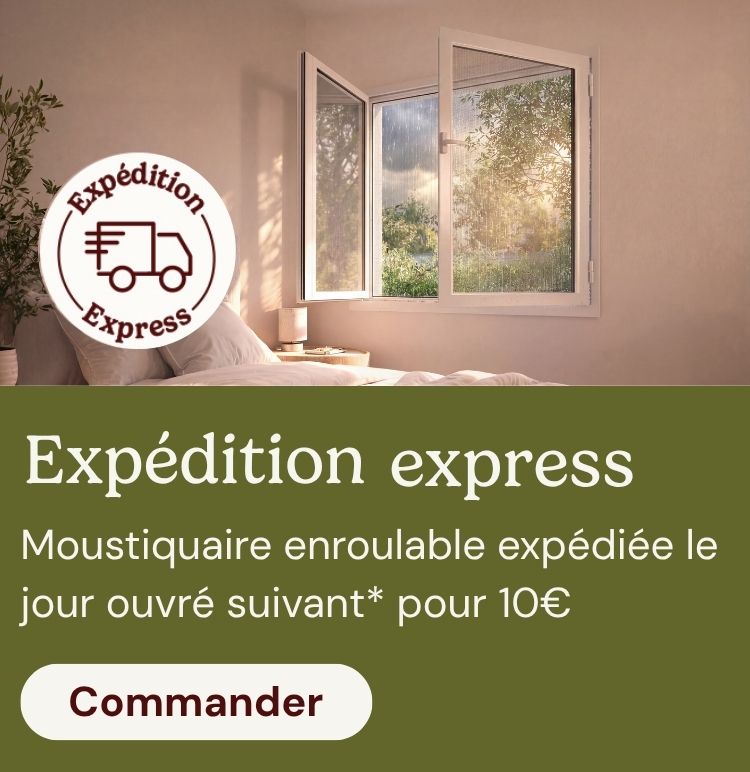 Expédition express