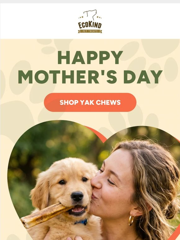 For the Dog Mom Who Does It All