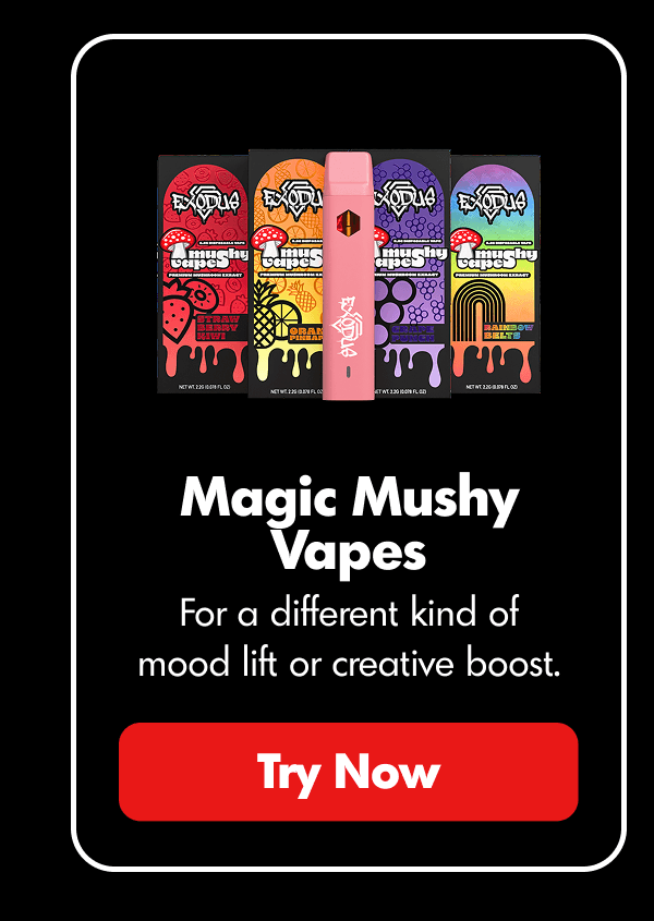 Magic Mushy | ExoClub