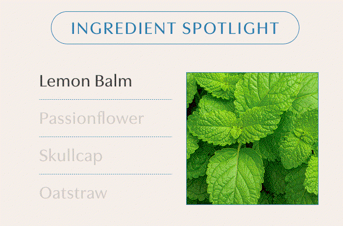 INGREDIENT SPOTLIGHT | Lemon Balm | Passionflower | Skullcap | Oatstraw