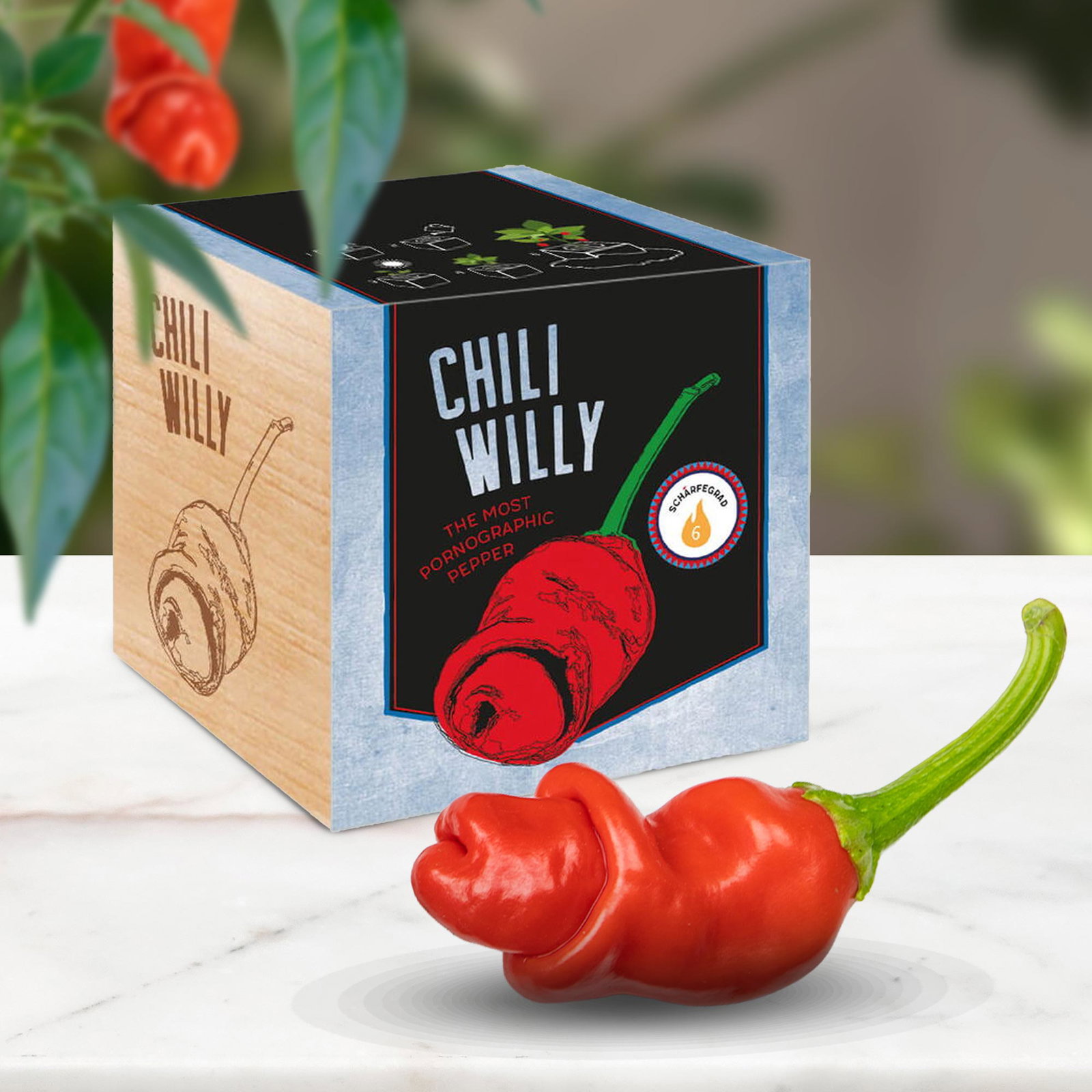 Image of Ecocube Chili Willy