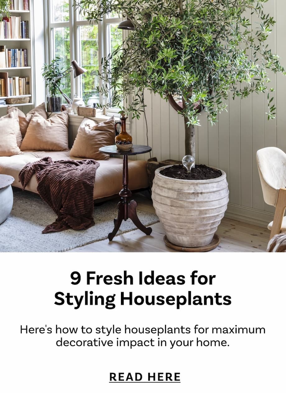 9 Fresh Ideas for Styling Houseplants