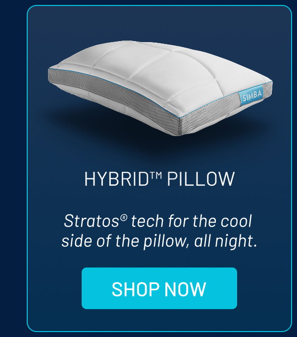 Hybrid Pillow