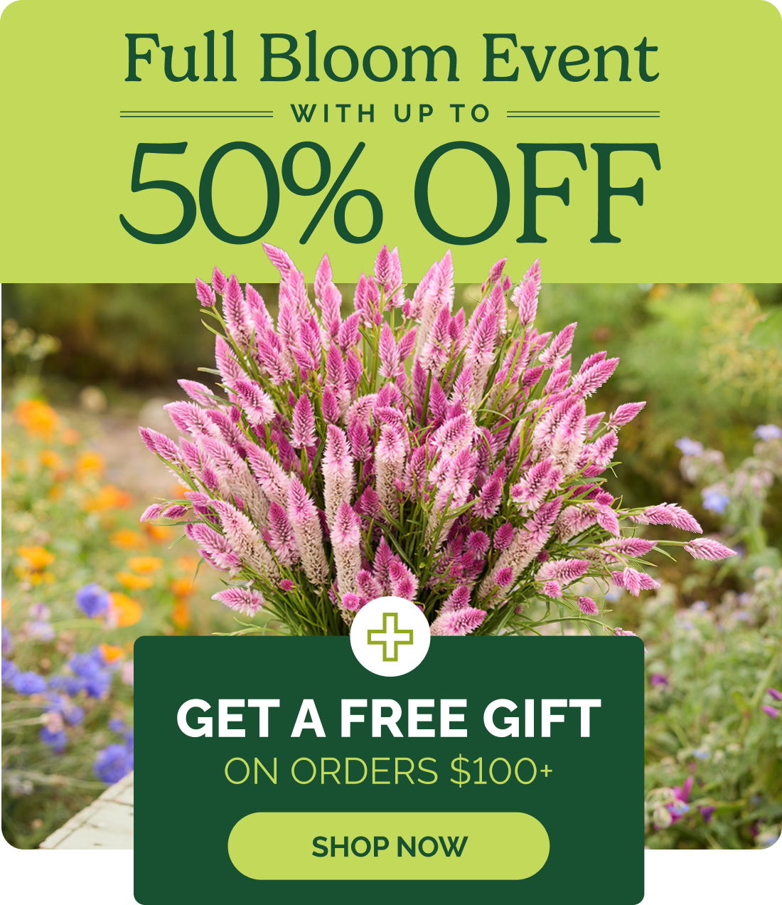 Full Bloom Event with up to 50% off; Get a free gift on orders $100+; SHOP NOW