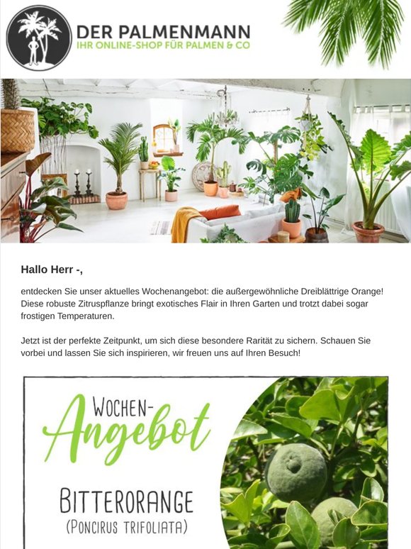Palmenmann:  SALE: 40% auf alles!* | Milled