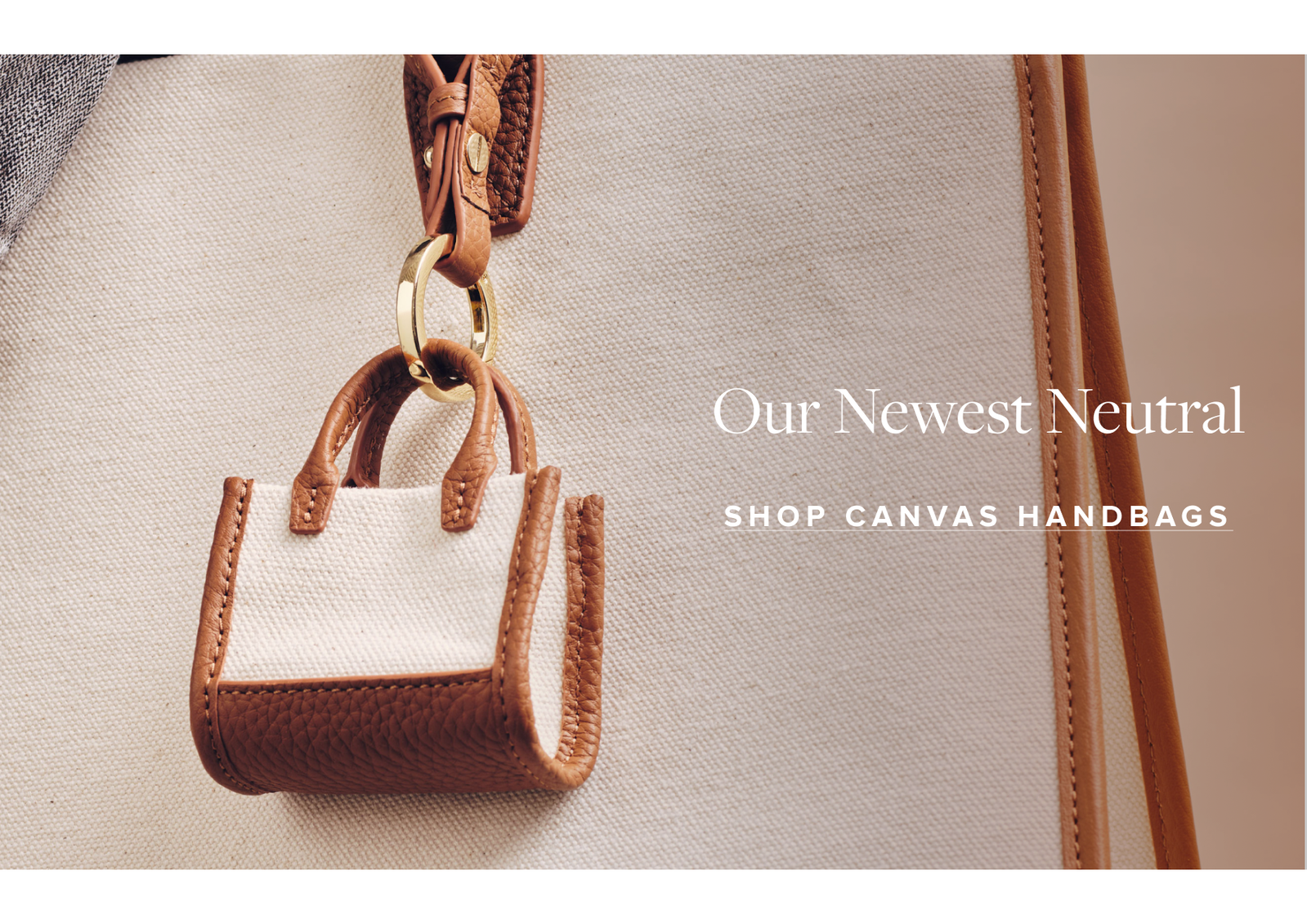 Shop Now >