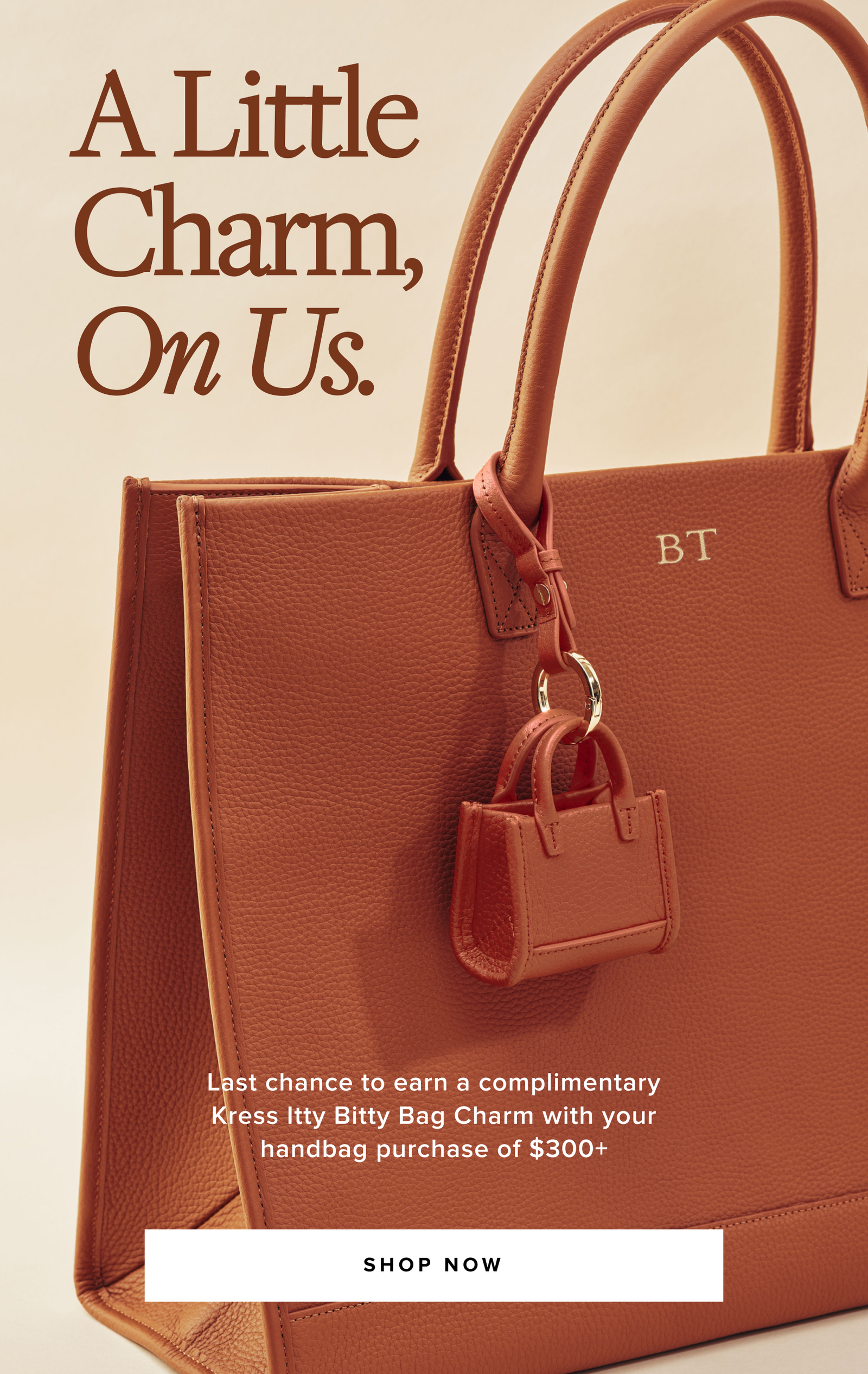 Shop Now >