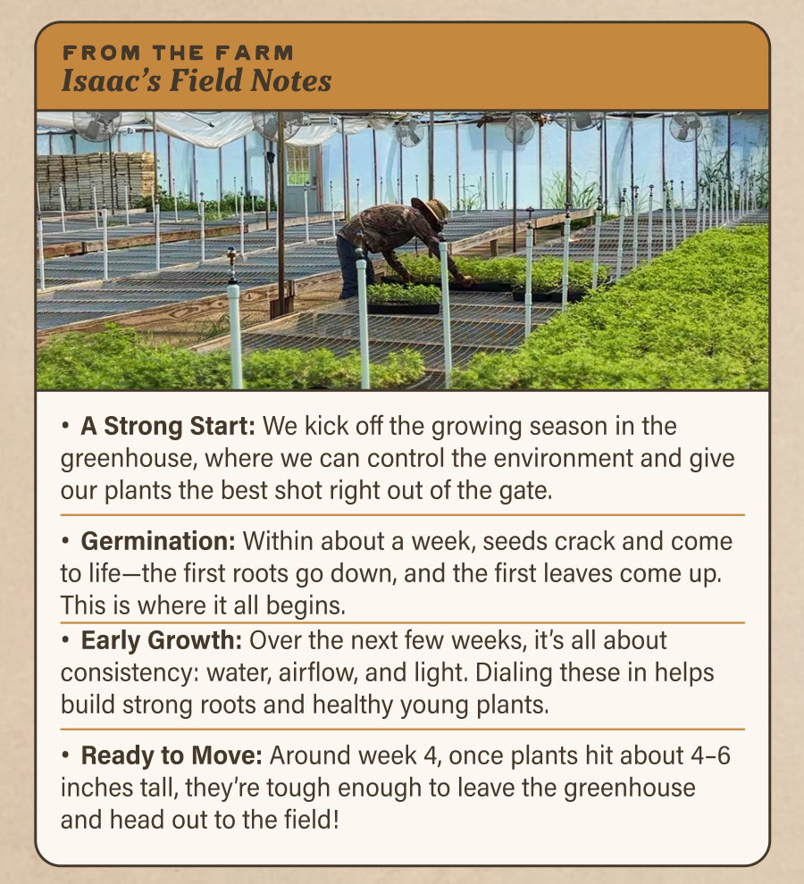 From the Farm: Isaac's Field Notes