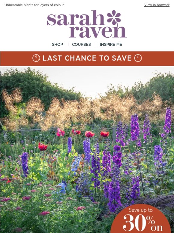 The best border fillers! Save 30% before midnight