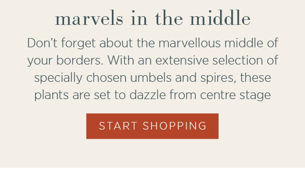 Marvels in the middle. Don't forget about the marvellous middle of your borders. With an extensive selection of specially chosen umbels and spires, these plants are set to dazzle from centre stage.