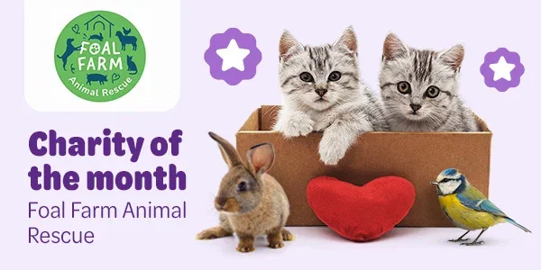 Charity of the Month