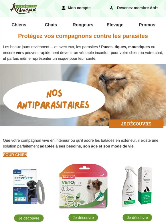 Tiques, puces, parasites : protégez votre compagnon dès maintenant !