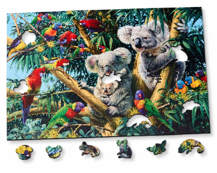 Koala Outback