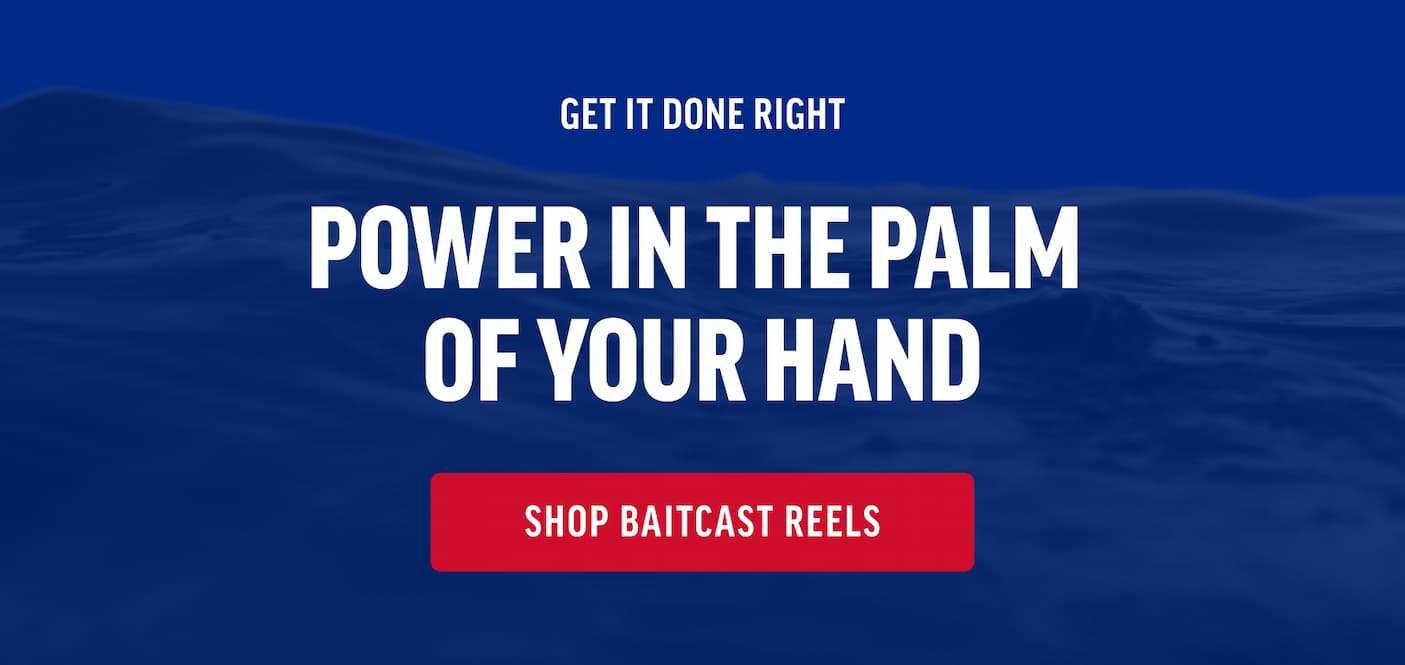 Baitcast Reel Pitch