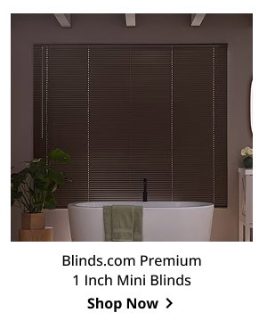 Blinds.com Premium 1 Inch Mini Blinds | Shop Now >