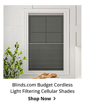 Blinds.com Budget Cordless Light Filtering Cellular Shades | Shop Now >