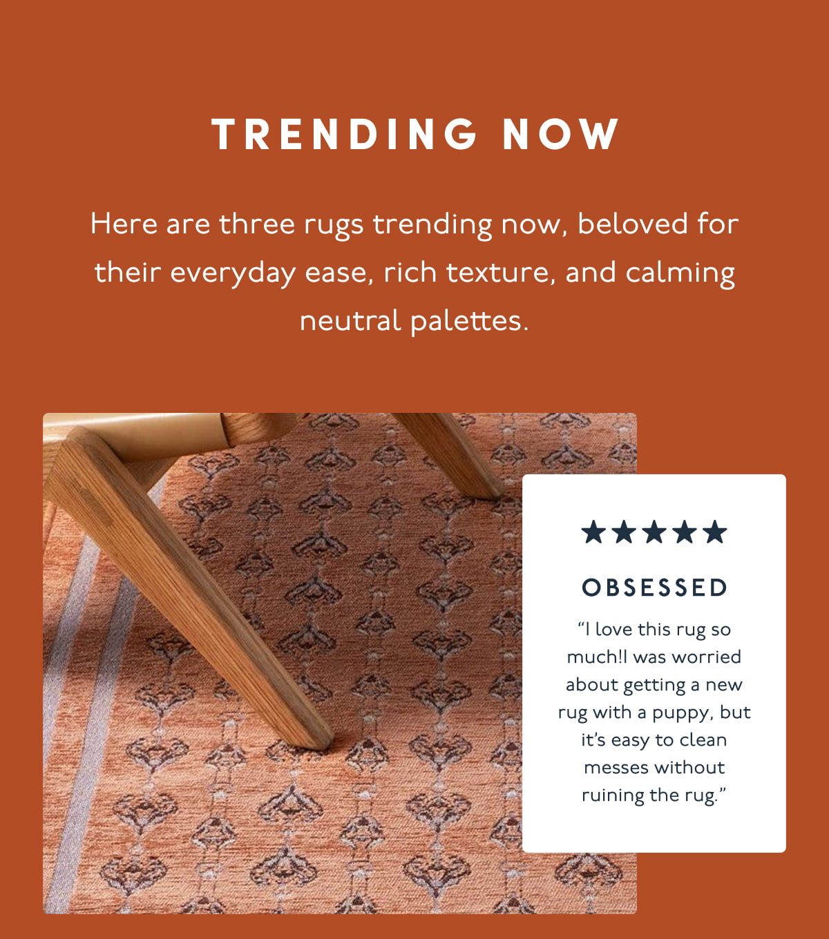 TRENDING NOW | Here are three rugs trending now, beloved for their everyday ease, rich texture, and calming neutral palettes. | OBSESSED | “I love this rug so much!I was worried about getting a new rug with a puppy, but it’s easy to clean messes without ruining the rug.”
