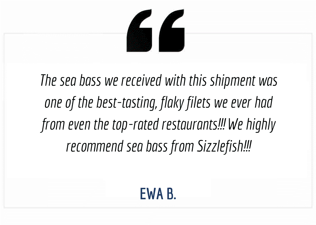 Sizzlefish Review