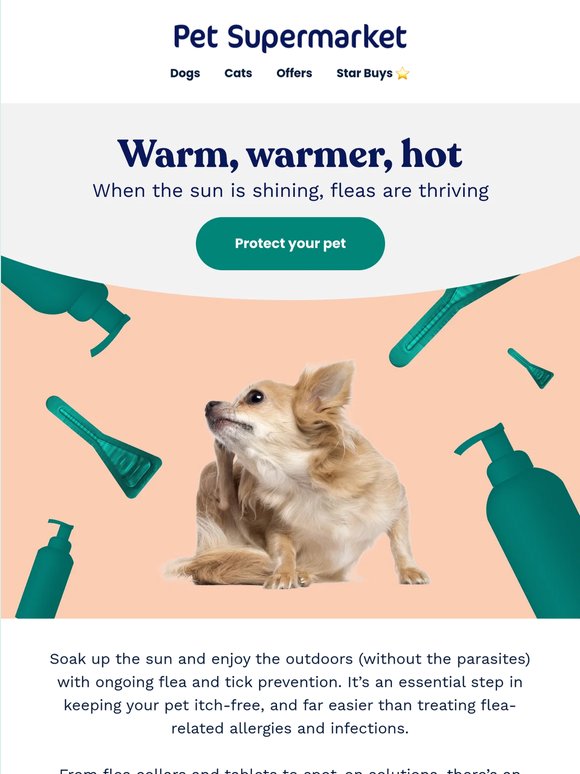 Your pet's number-one summer essential