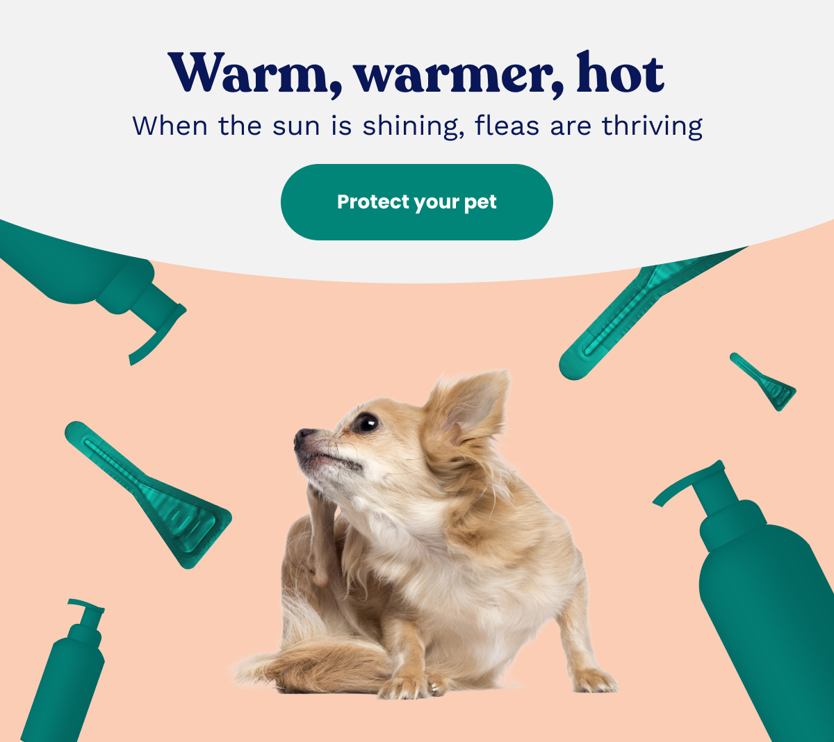 Warm, warmer, hot. When the sun is shining, fleas are thriving