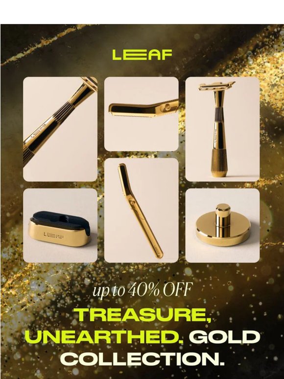 👑 We found a little treasure...