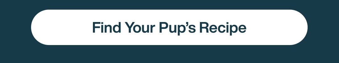 Find Your Pup's Recipe