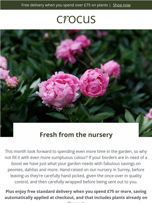 Fresh from the nursery 🌸