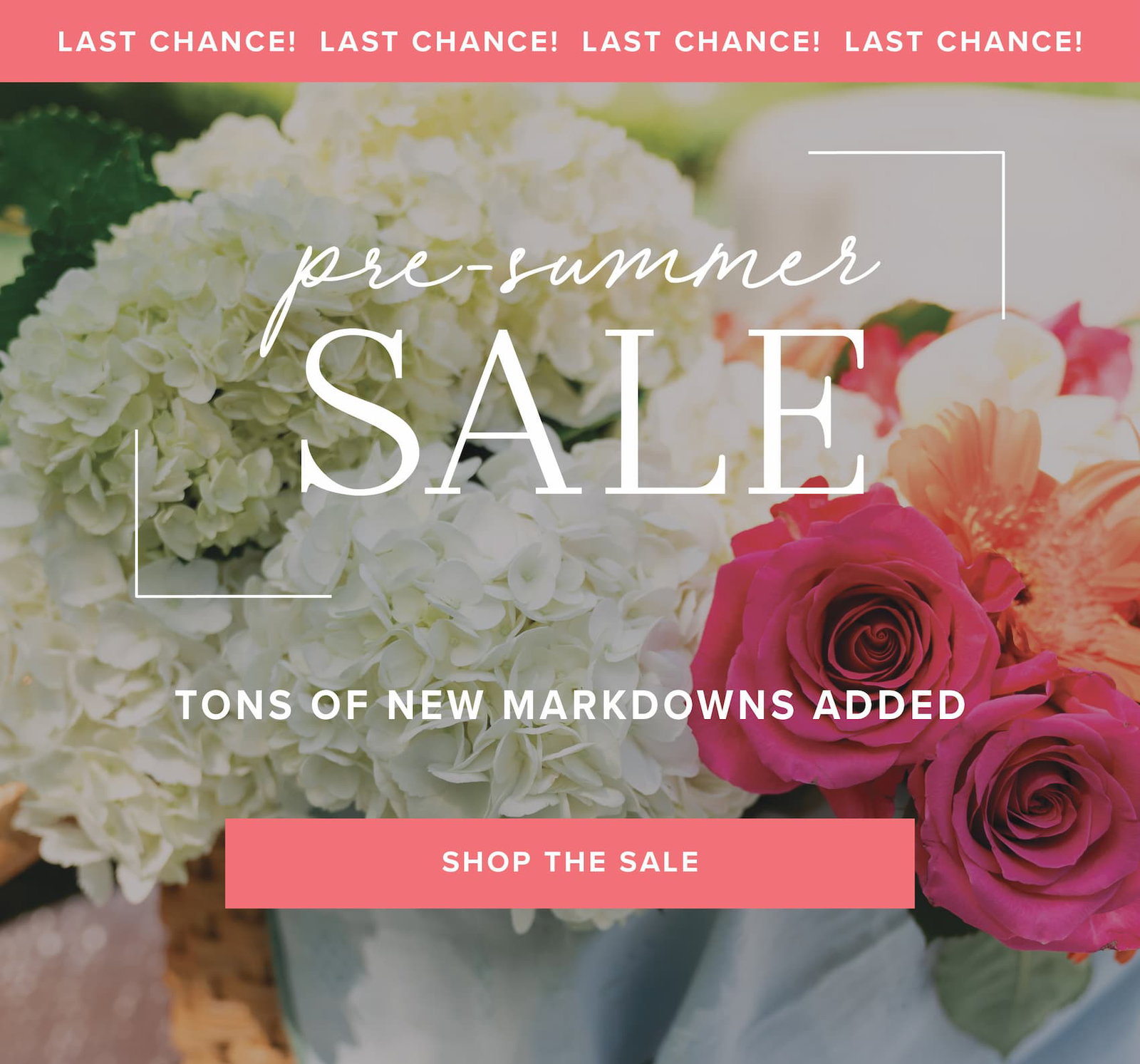 Last chance! Pre-summer sale, tons of new markdowns