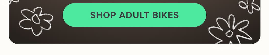 Shop Adult Bikes