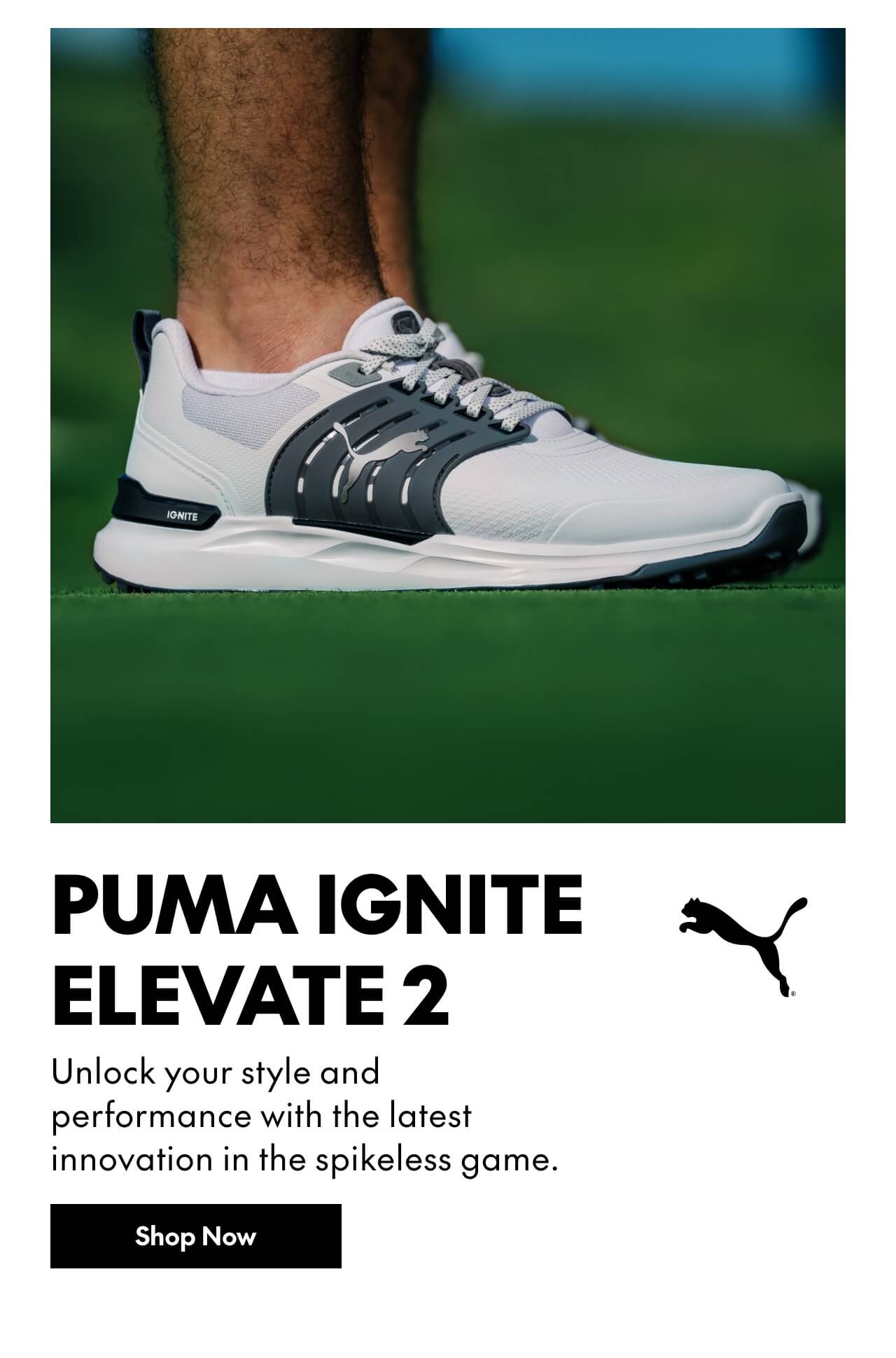 Puma ignite elevate 2