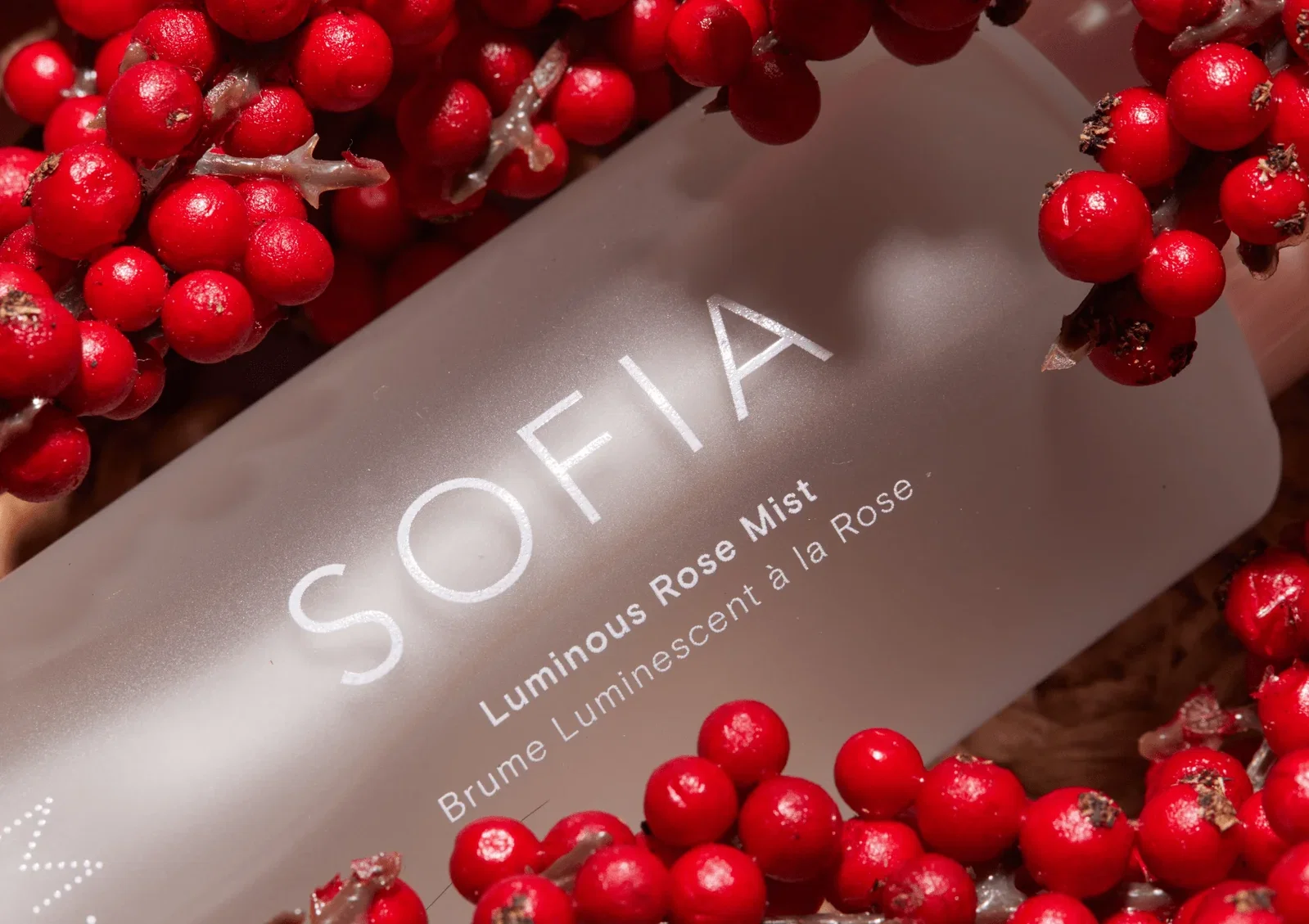 Image of SOFIA