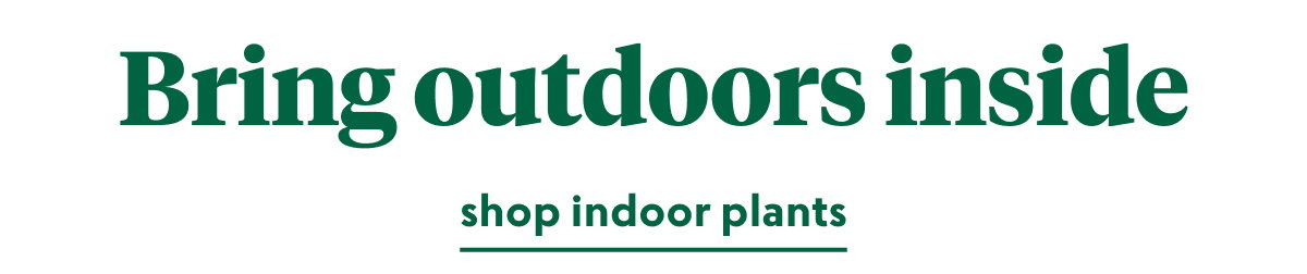 plants