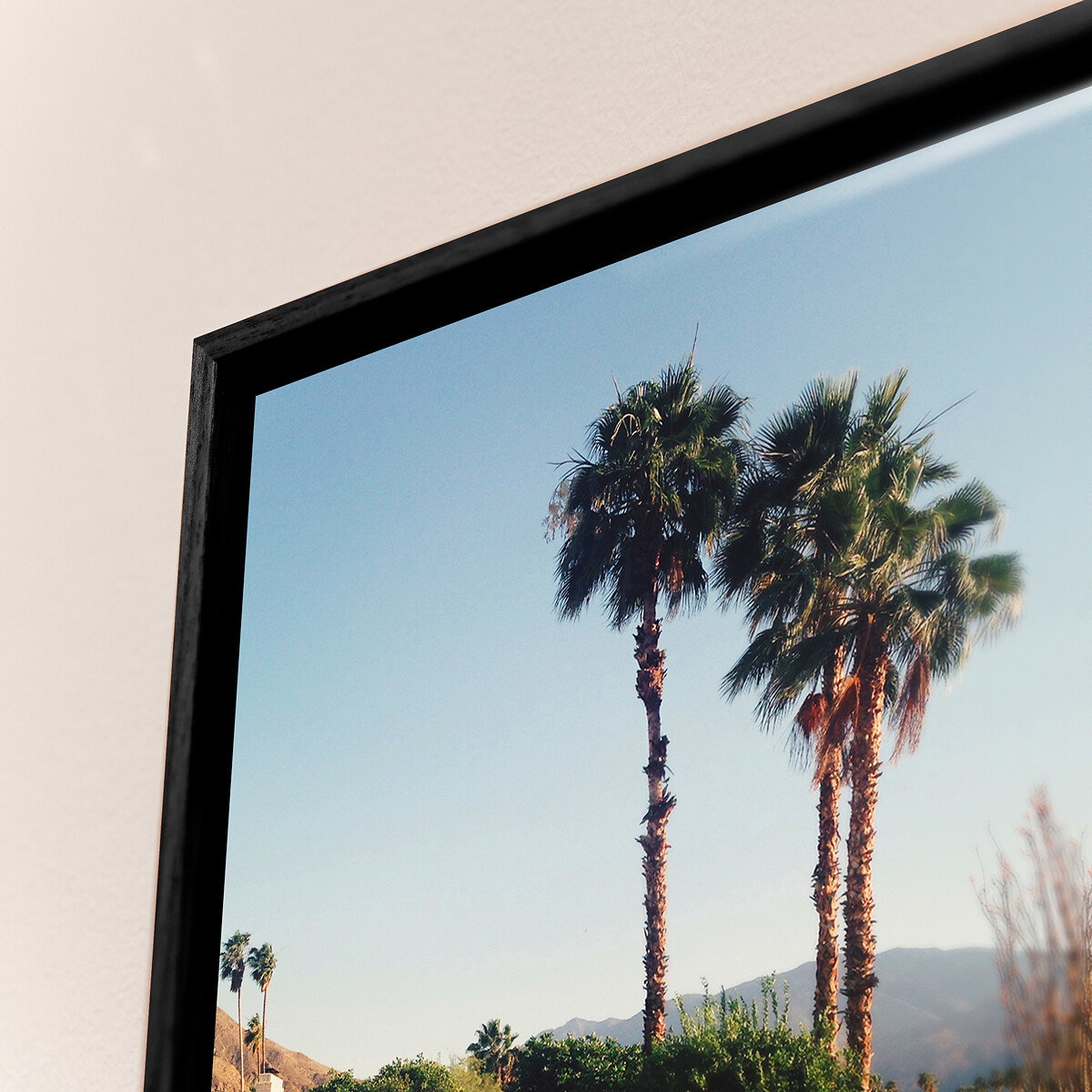 Framed Photo Prints