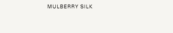 Shop Women's Mulberry Silk