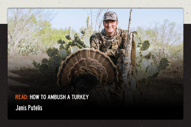 Read: Hot to Ambush a Turkey bye Janis Putelis