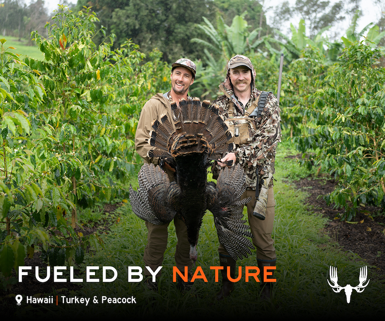 Fueled by Nature