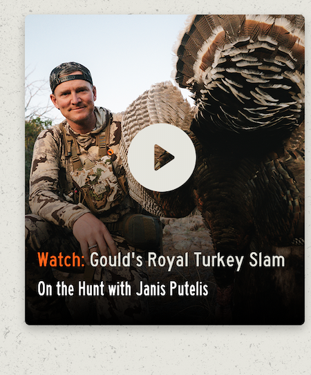 Watch: Gould's Royal Turkey Slam