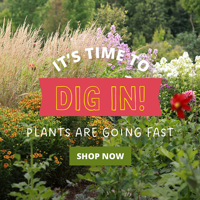 It's time to plant