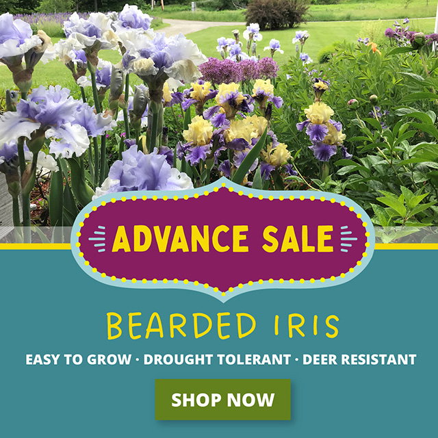 Advance sale