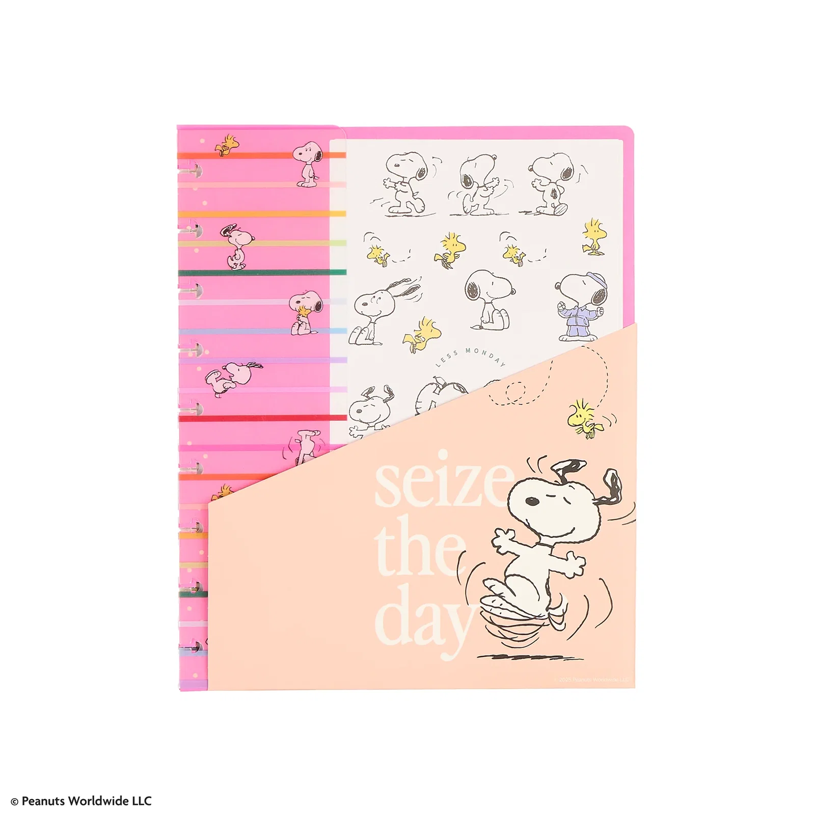 Image of PEANUTS™ - Classic Accessory Pack
