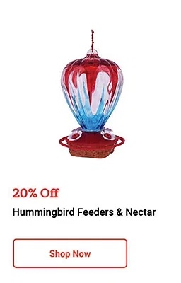 HummingbirdFeeders