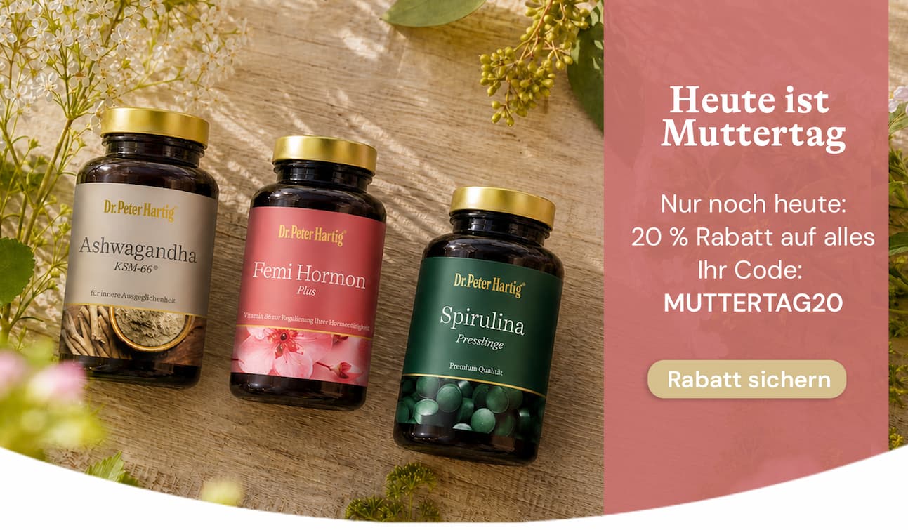 Aktuelle Angebote