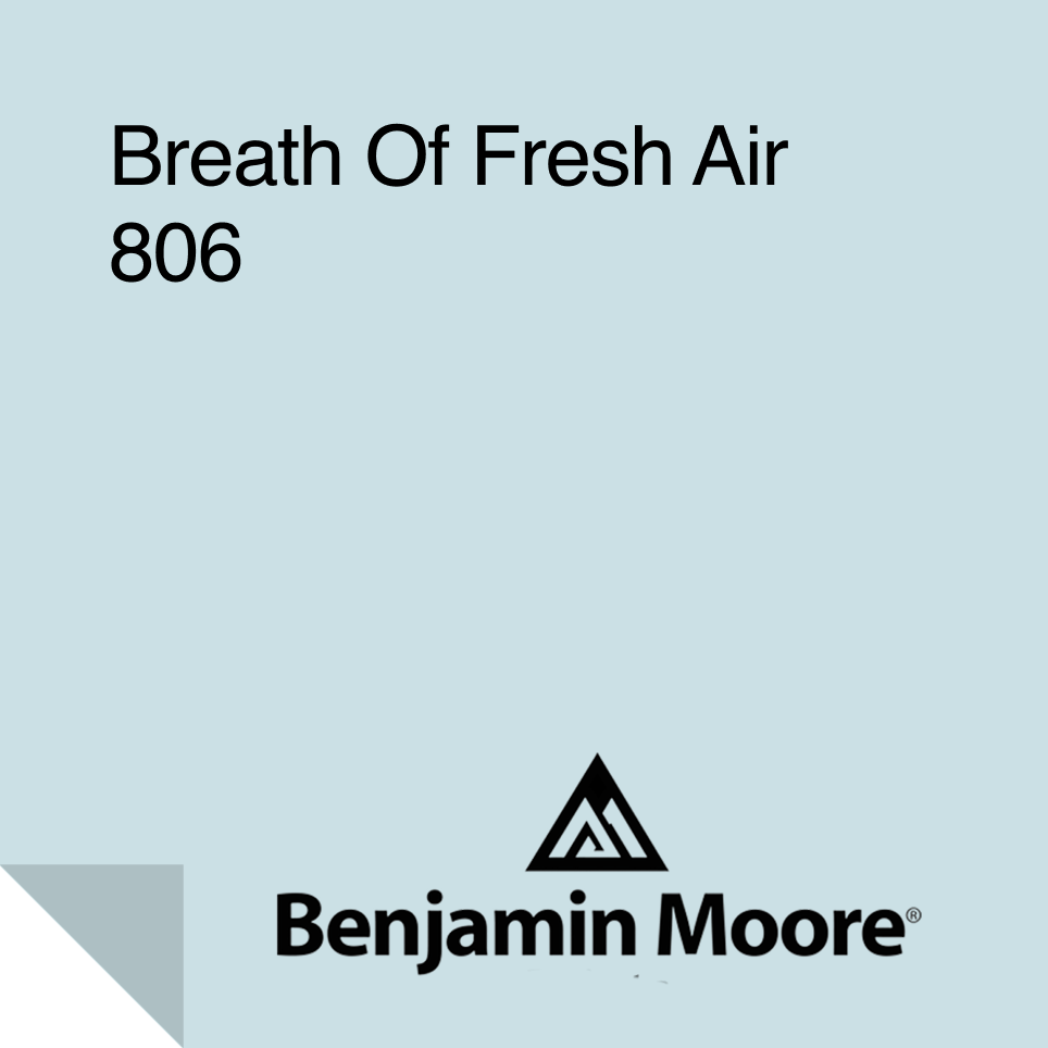 Breath of Fresh Air Paint Sample 806