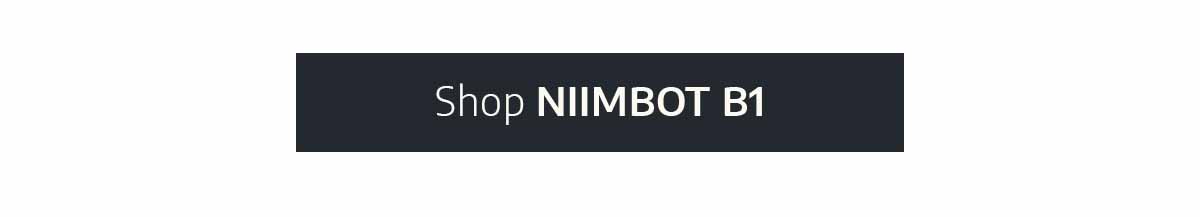 Shop NIIMBOT B1